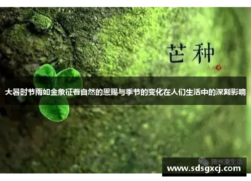 大暑时节雨如金象征着自然的恩赐与季节的变化在人们生活中的深刻影响